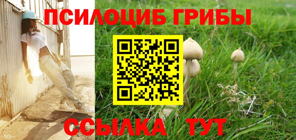 Псилоцибиновые грибы мухоморы Славянск-на-Кубани