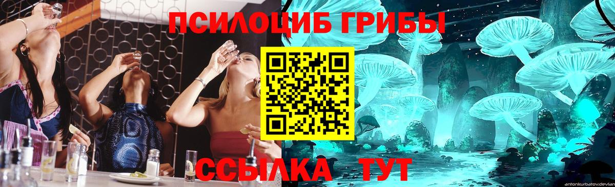Славянск-на-Кубани  Галлюциногенные грибы GOLDEN TEACHER  Вход с VPN  Галлюциногенные грибы Magic Shrooms 